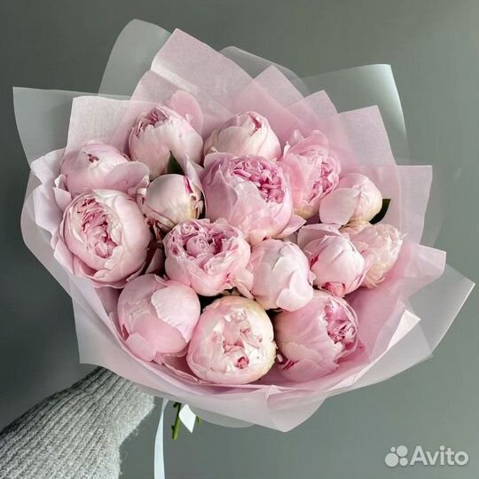 Цветы розы пионы доставка 101 роза 51