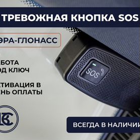 Кнопка авэос для получения ЭПТС