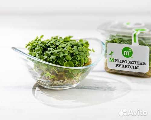 Наборы для выращивания микрозелени доставка