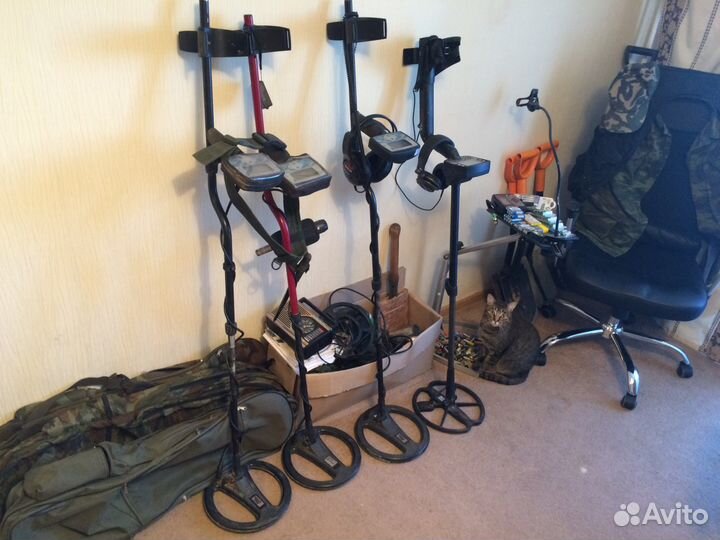 Прокат X-Terra 705 DD+ (аренда металлоискателя)