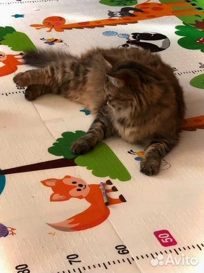 Детский коврик для ползания новый (заводской брак)