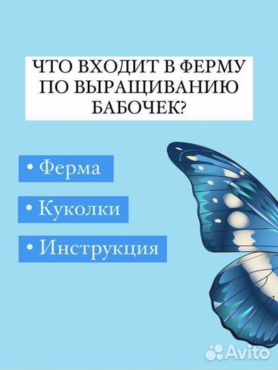 Ферма для выращивания бабочек