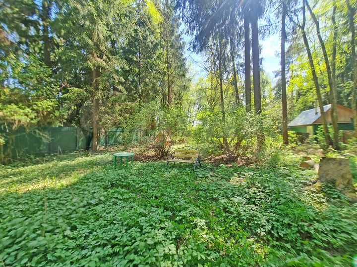 Участок 31,1 сот. (ИЖС)