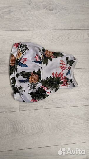 Одежда для маленьких пород собак