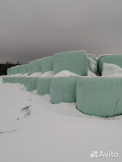 Сенаж в упаковке