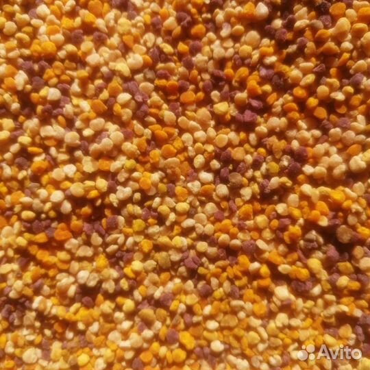 Перга, пыльца, мед, прополис, пжвм, восковая моль