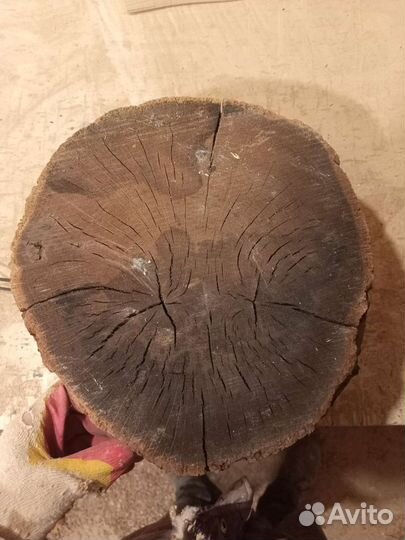 Спил торцевой