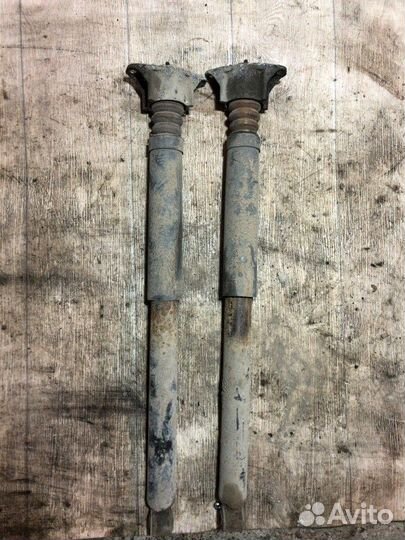 Амортизатор подвески задний Ford Focus 2 купе 1.8