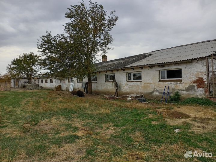 Ферма 500 м2, з/у 11 га