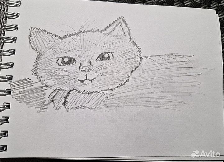 Рисунки на заказ