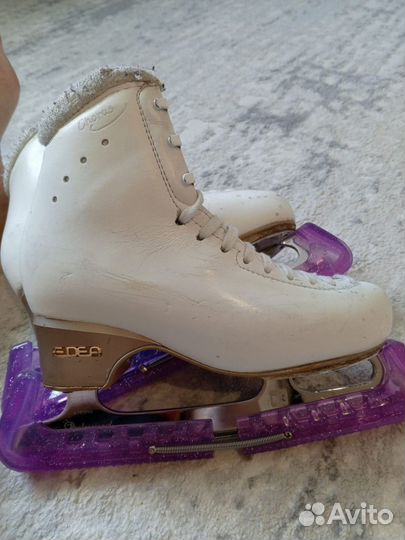 Коньки эдея чорус