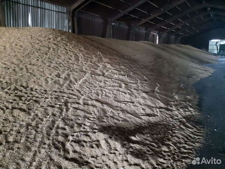 Зерно пшеница ячмень кукуруза семечка сафлор