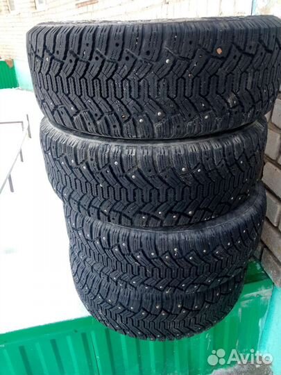 Accelera Accelera 205/55 R16 200T