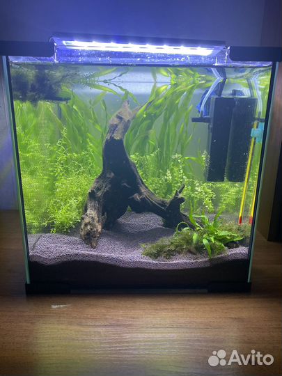 Аквариум с рыбами