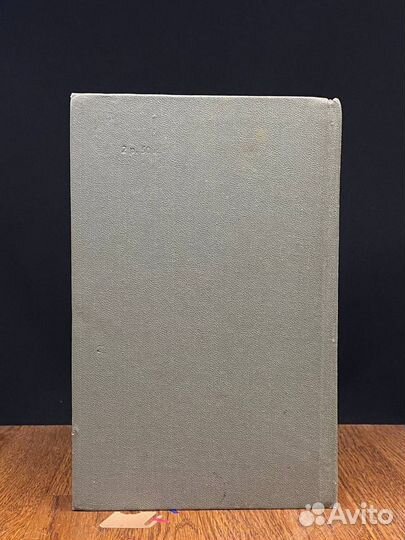 Степан Разин. Книга 2