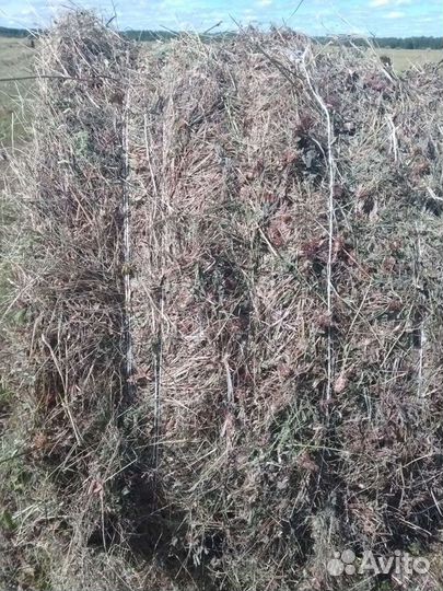 Сено в рулонах