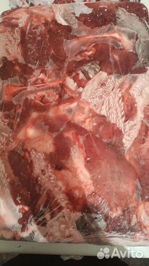 Еда для любимых животных