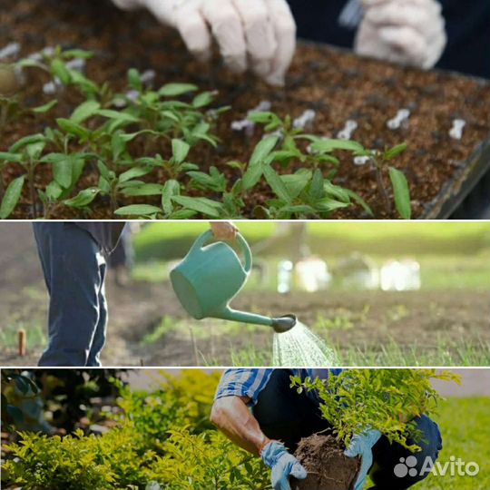 Разнорабочий, уход за растениями (улица, теплица)