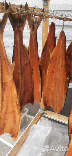 Рыба холодного копчения кета