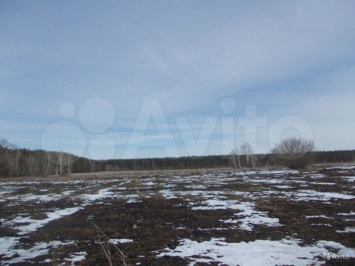 Участок 8,2 га (СНТ, ДНП)