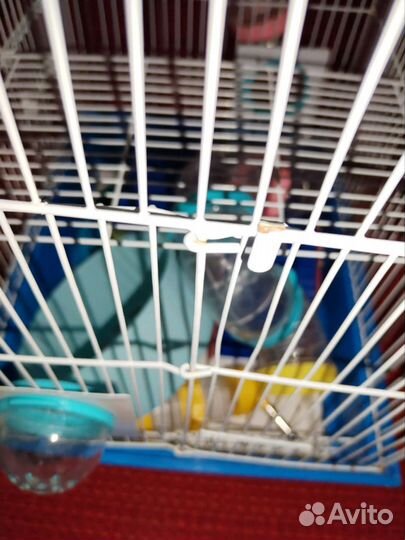 Клетка для хомяка большая