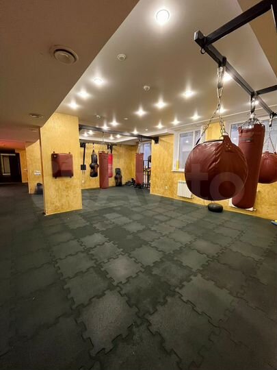 Свободного назначения, 500 м²