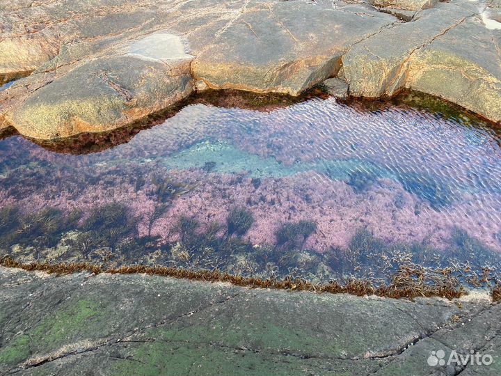 Тур в Териберку