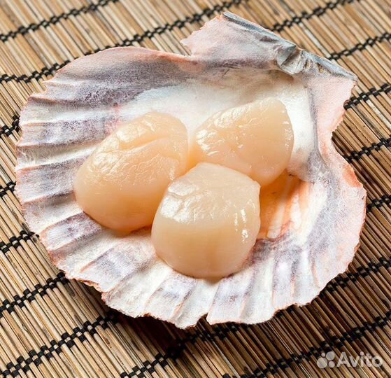 Камчатский краб, клешни, морской гребешок,дв