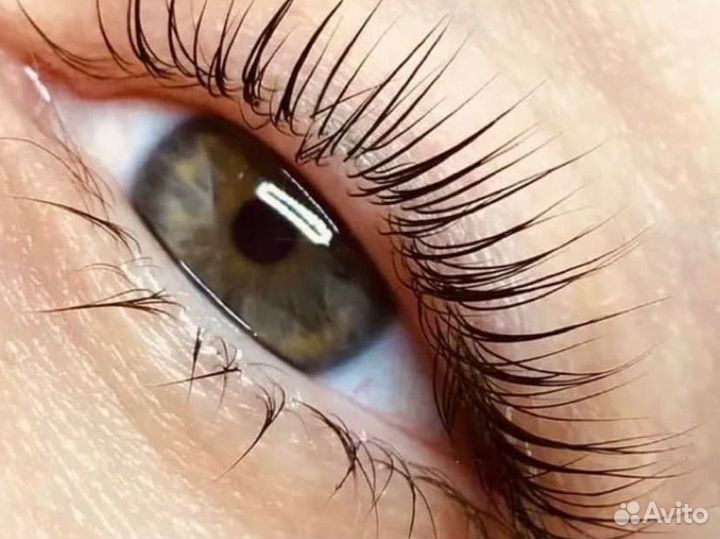 Оформление окрашивание бровей наращивание ресниц