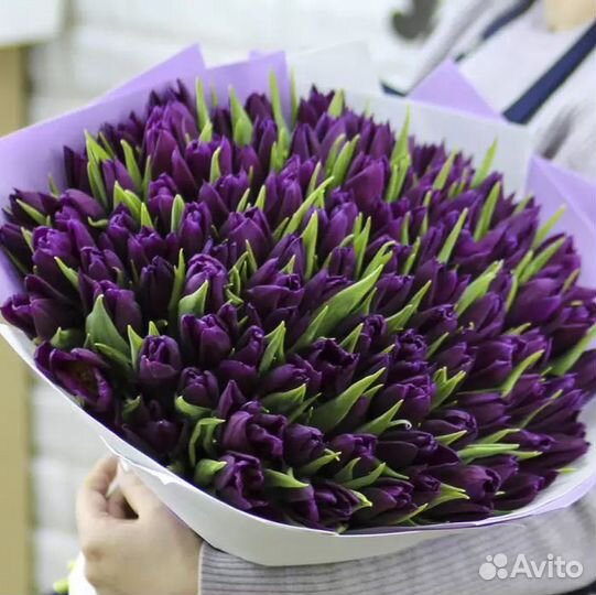 Тюльпаны фиолетовые букет 15 штук в Москве