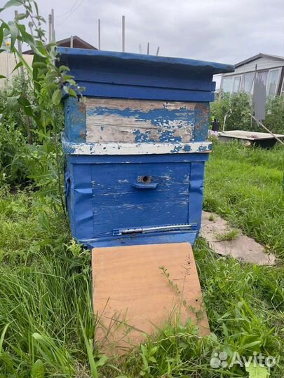 Ульи с пчëлами