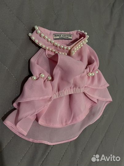 Платья для маленькой собачки