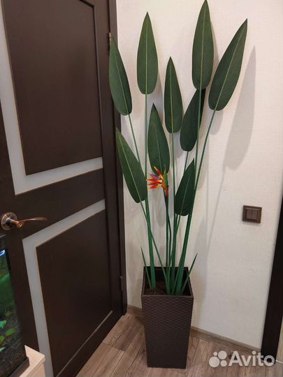 Искусственные растения