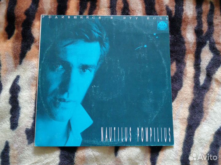 Наутилус помпилиус 