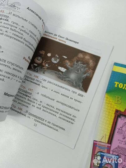 Толковый словарь Школа 2100 2 и 3-4 классы