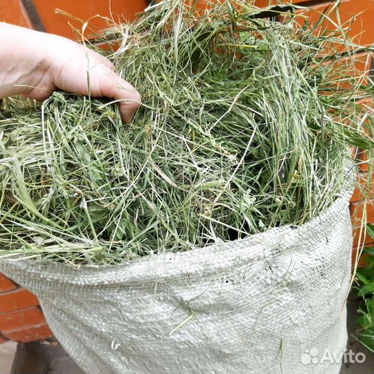 Сено для грызунов