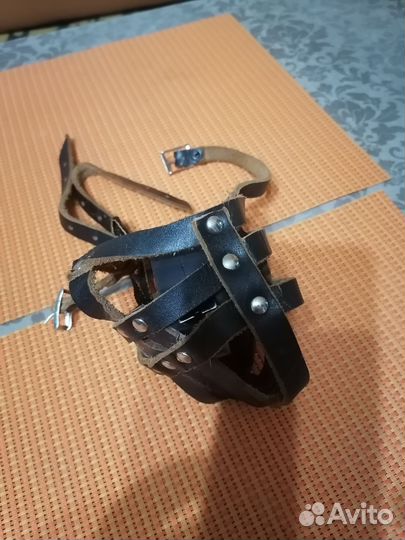 Намордник и шлейка