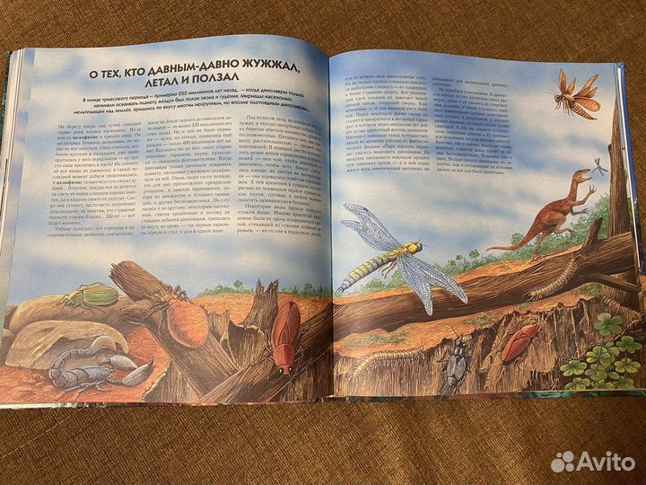 Книга про динозавров (энциклопедия)