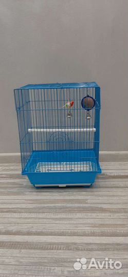 Клетка для птиц бу