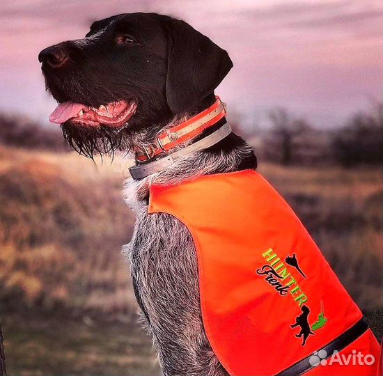 Сигнальные жилеты для собак