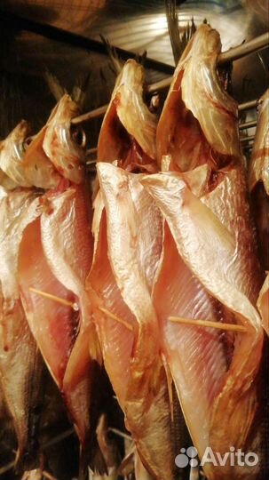 Омуль с Ольхона холодного/горячего копчения