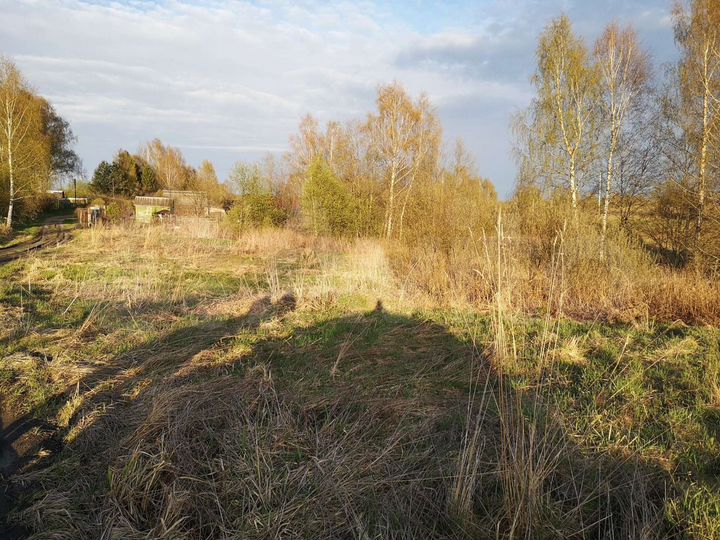 Участок 10 сот. (ИЖС)