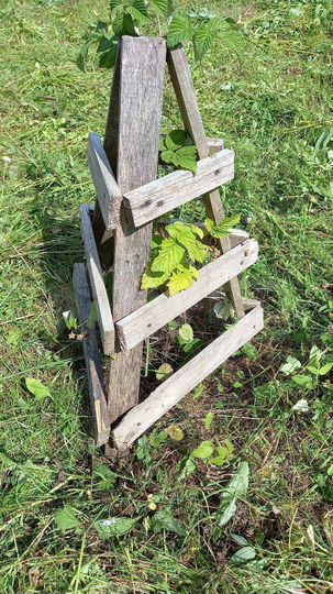 Участок 18 сот. (ИЖС)