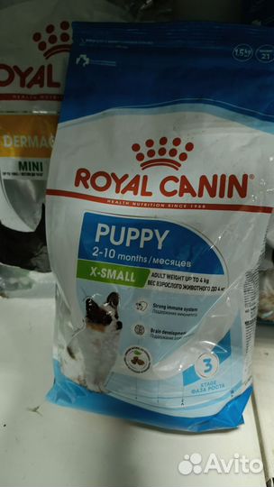 25 % до 23.02 Корм для собак royal canin