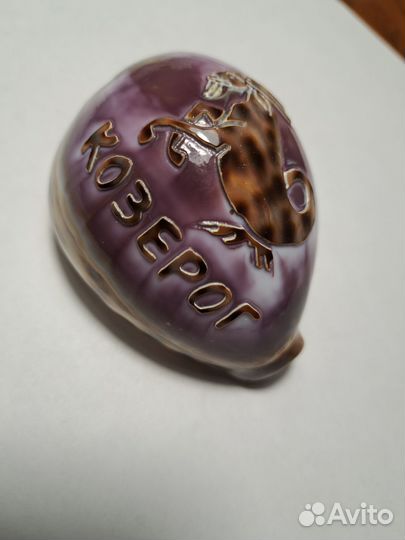 Сувениры ракушка Козерог