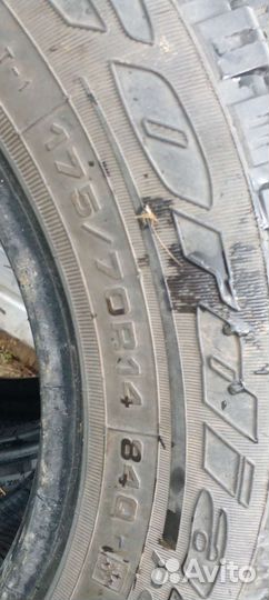 Cordiant Polar 175/70 R14