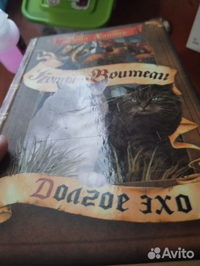 Коты-Воители Долгое Эхо (дефект)