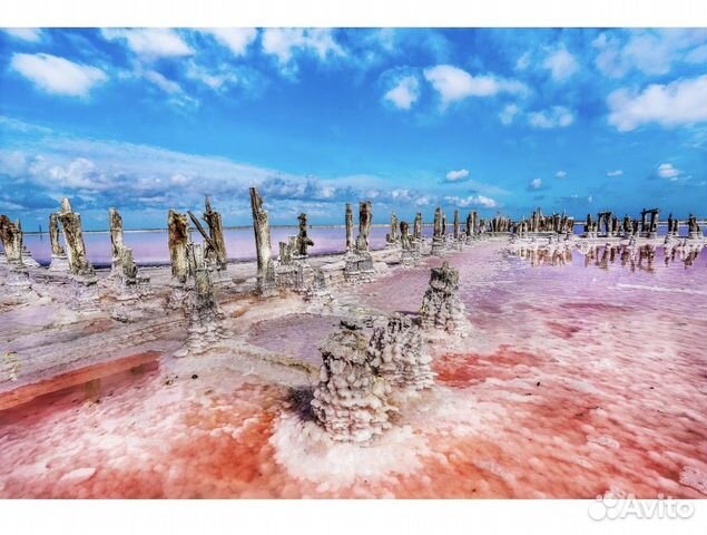 Экскурсии на Розовое озеро из Евпатории объявление продам