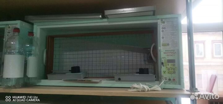 Оренбургские Инкубаторы