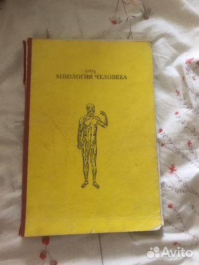 Миология человека